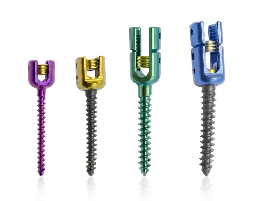 LISTESIS Y CONVENCIONALES