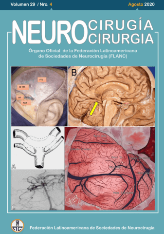 FLANC Federacion Latinoamericana de Sociedades de Neurocirugia Agosto 2020 0