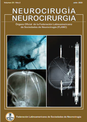 FLANC Federacion Latinoamericana de Sociedades de Neurocirugia Julio 2020
