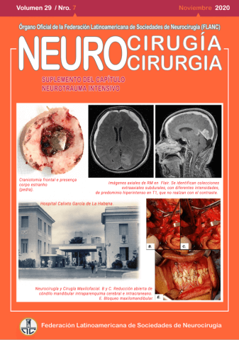 FLANC Federacion Latinoamericana de Sociedades de Neurocirugia NOV 2020