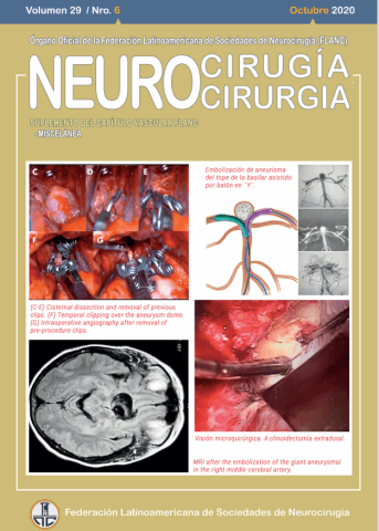 FLANC Federacion Latinoamericana de Sociedades de Neurocirugia Octubre 2020